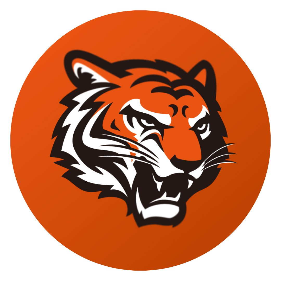 Cincinnati Bengals - Sportcify